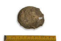 F 02254
<br/>
<br/>
<em></em>